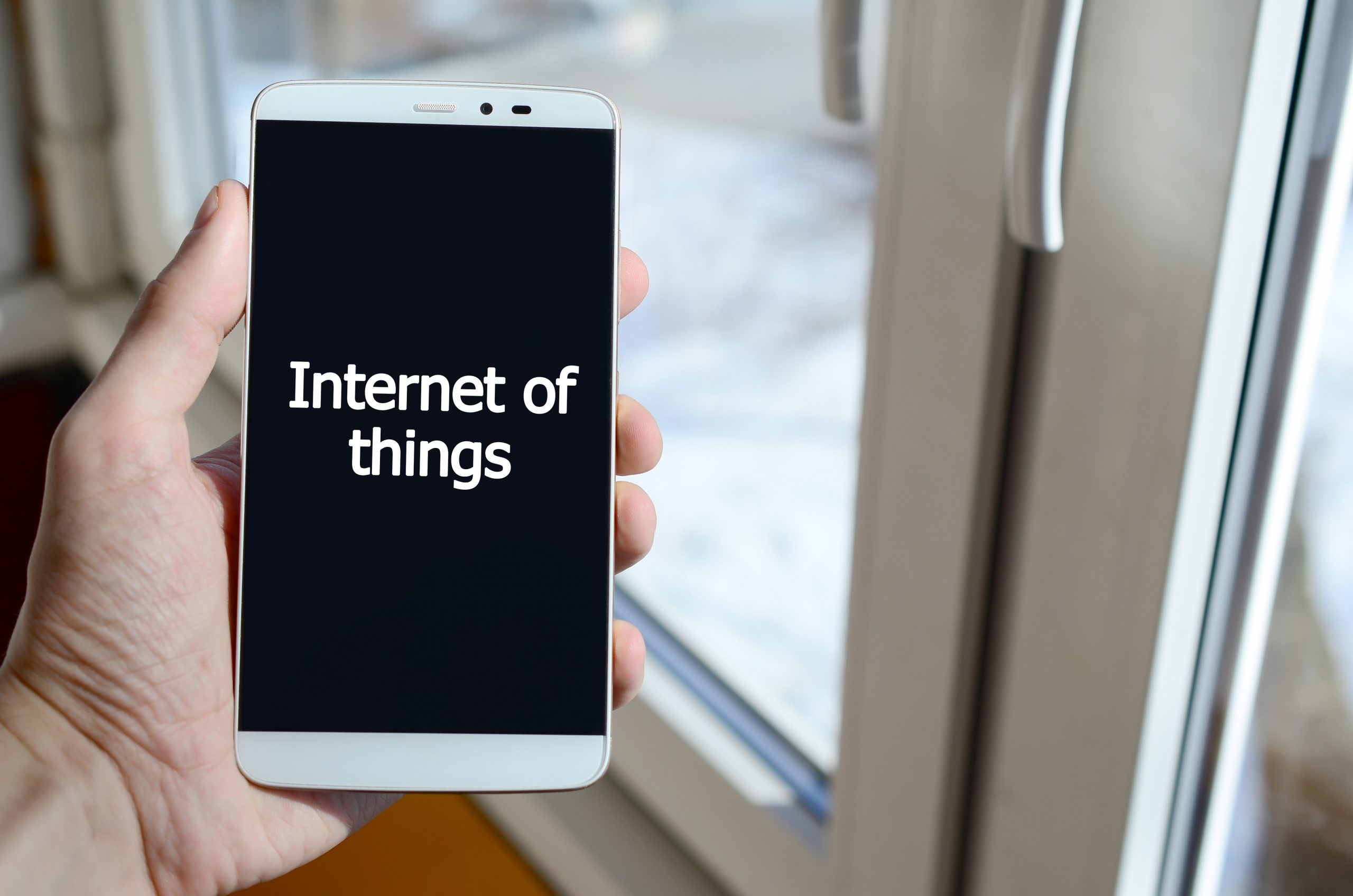 Internet of Things (IoT) Services